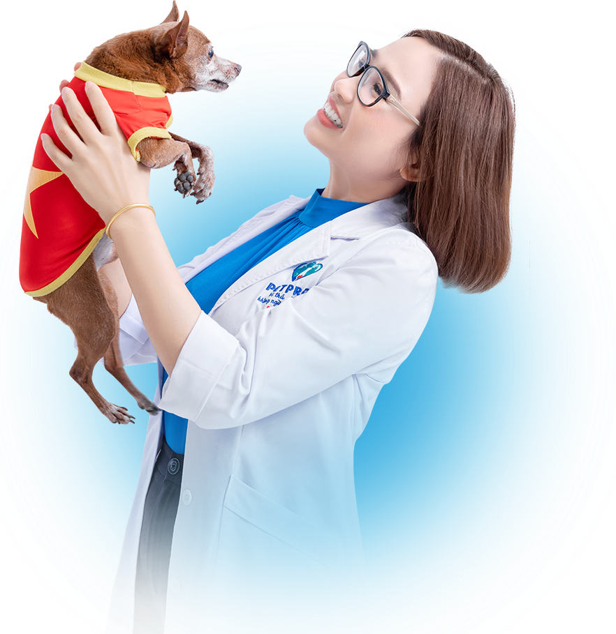 Thú cưng tại PETPRO