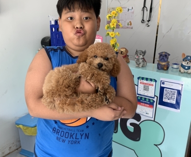 Thu Hà